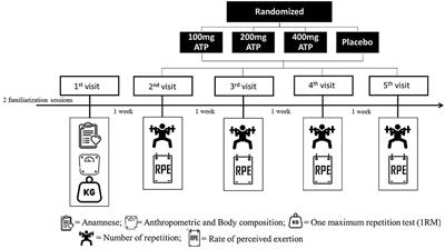 Dose Response of Acute ATP Supplementation on Strength Training Performance